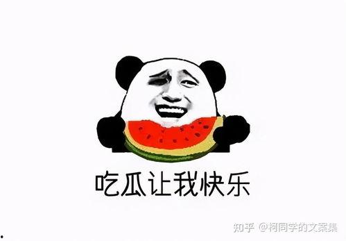 吃瓜不议论的文案,且看且珍惜，不议不扰，静享瓜界风云
