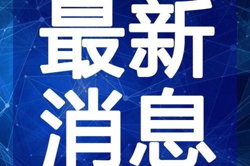 新闻爆料马长春视频播放,揭秘背后真相