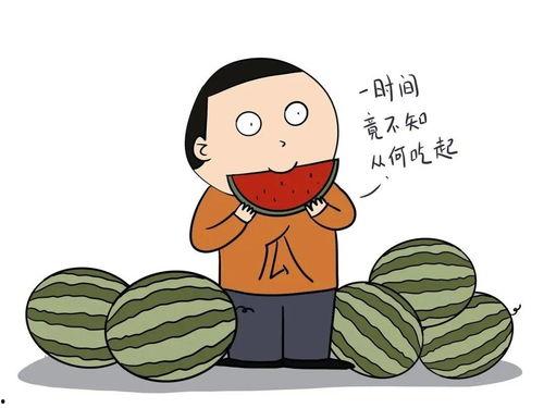 带你吃瓜电车难题,道德抉择与人性考验的深刻反思