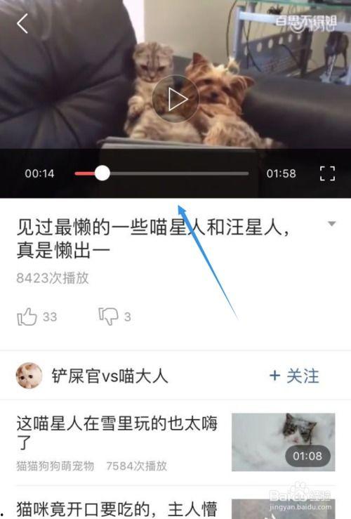 头条怎样在电脑上看视频,轻松掌握头条内容概览技巧