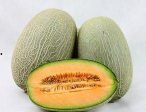 蓉儿吃哈密瓜,蓉儿畅享哈密瓜美味时光