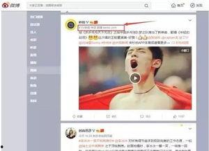 今日头条视频字幕和剪辑,揭秘XX背后的惊人真相！