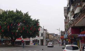 福建台山新闻头条