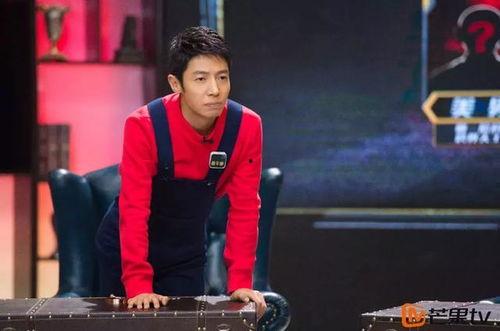 明星大侦探 撒贝宁,撒贝宁智慧解谜，演绎侦探传奇