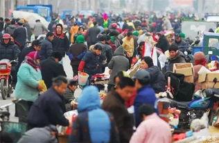 欢兜集市新闻头条,探寻特色市集魅力，欢兜集市引领潮流风尚