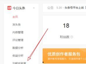 加入头条小店有什么要求,了解入驻要求，轻松开启电商之旅
