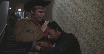 午夜牛郎在线观看,浪漫邂逅，星光下的爱情传奇